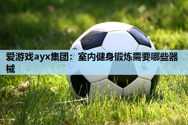 爱游戏ayx集团：室内健身锻炼需要哪些器械