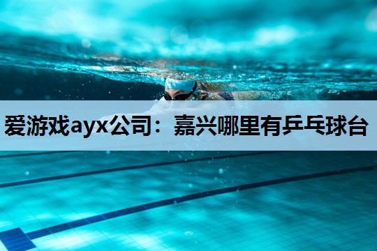 爱游戏ayx公司：嘉兴哪里有乒乓球台