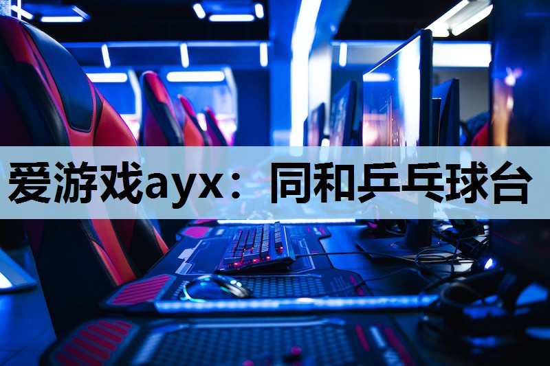 爱游戏ayx：同和乒乓球台