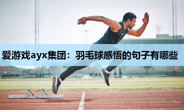 爱游戏ayx集团：羽毛球感悟的句子有哪些