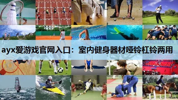 室内健身器材哑铃杠铃两用 室内健身器材哑铃杠铃两用