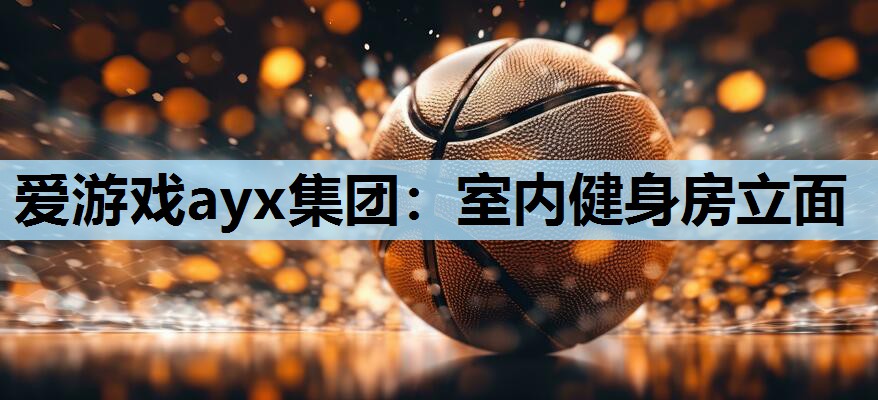 室内健身房立面 室内健身房立面
