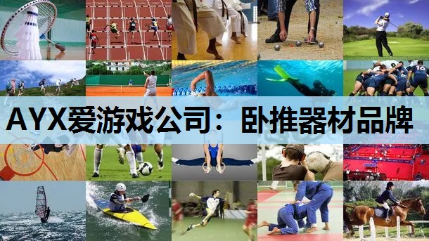 卧推器材品牌 卧推器材品牌