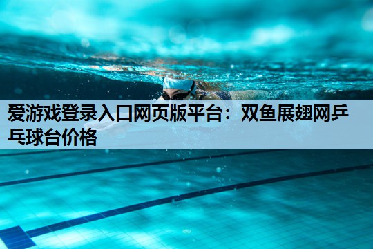 双鱼展翅网乒乓球台价格 双鱼展翅网乒乓球台价格