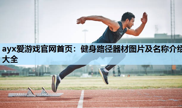 健身路径器材图片及名称介绍大全 健身路径器材图片及名称介绍大全