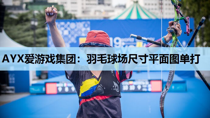 羽毛球场尺寸平面图单打 羽毛球场尺寸平面图单打