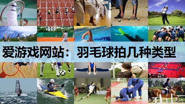 羽毛球拍几种类型 羽毛球拍几种类型