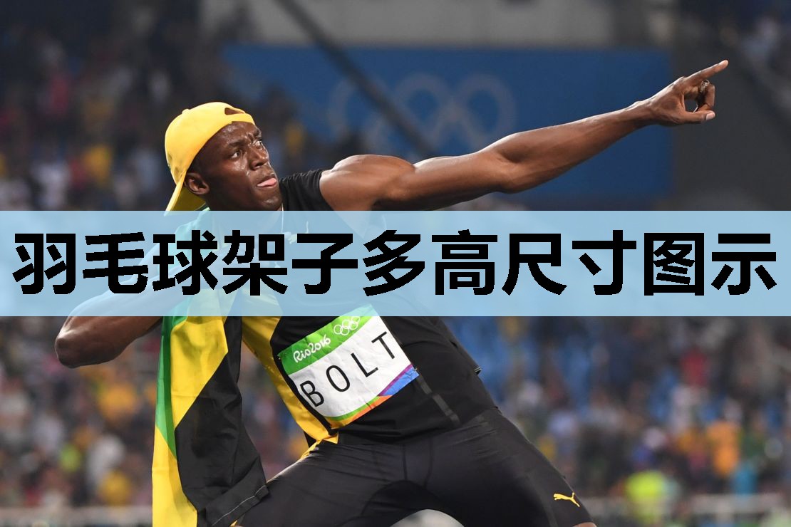 羽毛球架子多高尺寸图示 羽毛球架子多高尺寸图示