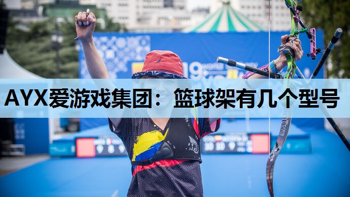 篮球架有几个型号 篮球架有几个型号
