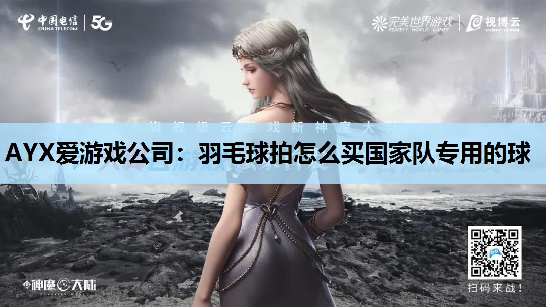 羽毛球拍怎么买国家队专用的球 羽毛球拍怎么买国家队专用的球
