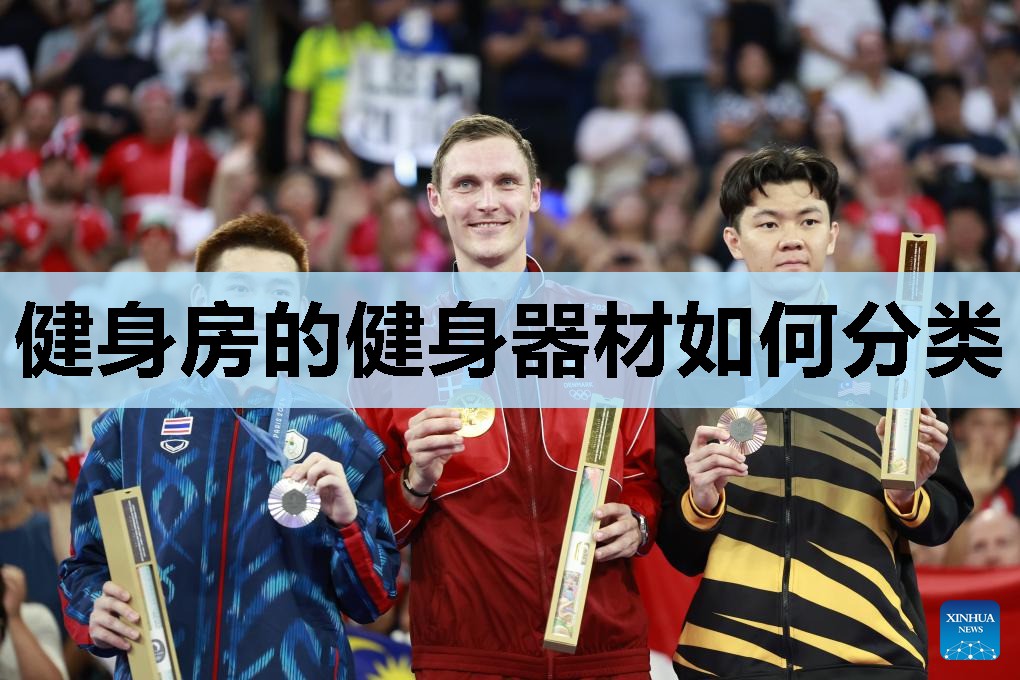 健身房的健身器材如何分类 健身房的健身器材如何分类