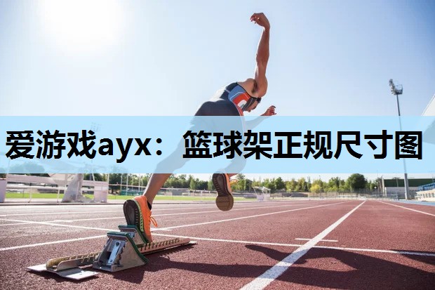 篮球架正规尺寸图 篮球架正规尺寸图