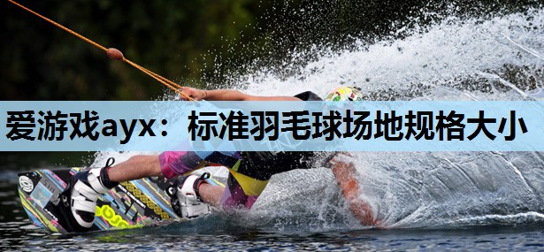 标准羽毛球场地规格大小 标准羽毛球场地规格大小