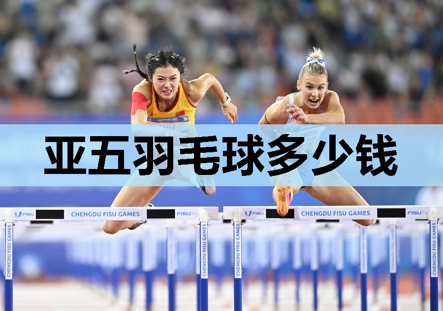 亚五羽毛球多少钱 亚五羽毛球多少钱