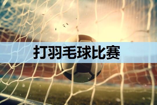 打羽毛球比赛 打羽毛球比赛