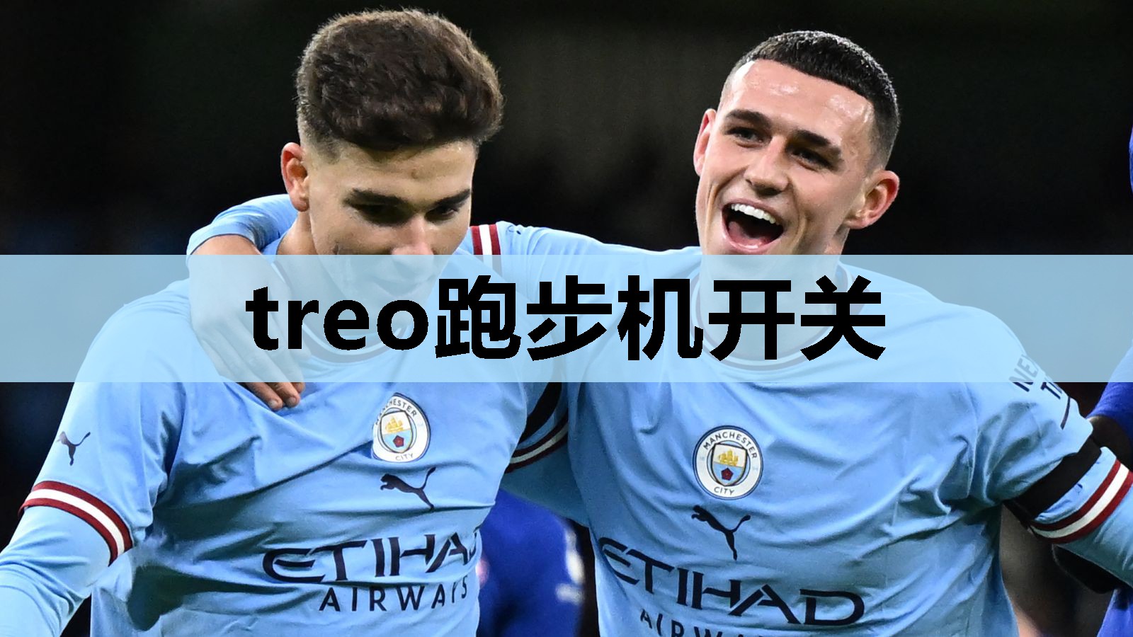 treo跑步机开关 treo跑步机开关