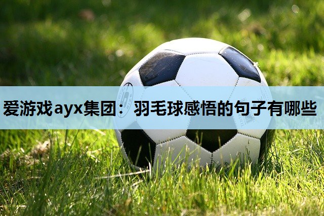 羽毛球感悟的句子有哪些 羽毛球感悟的句子有哪些