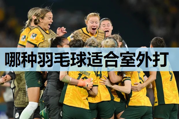 哪种羽毛球适合室外打 哪种羽毛球适合室外打